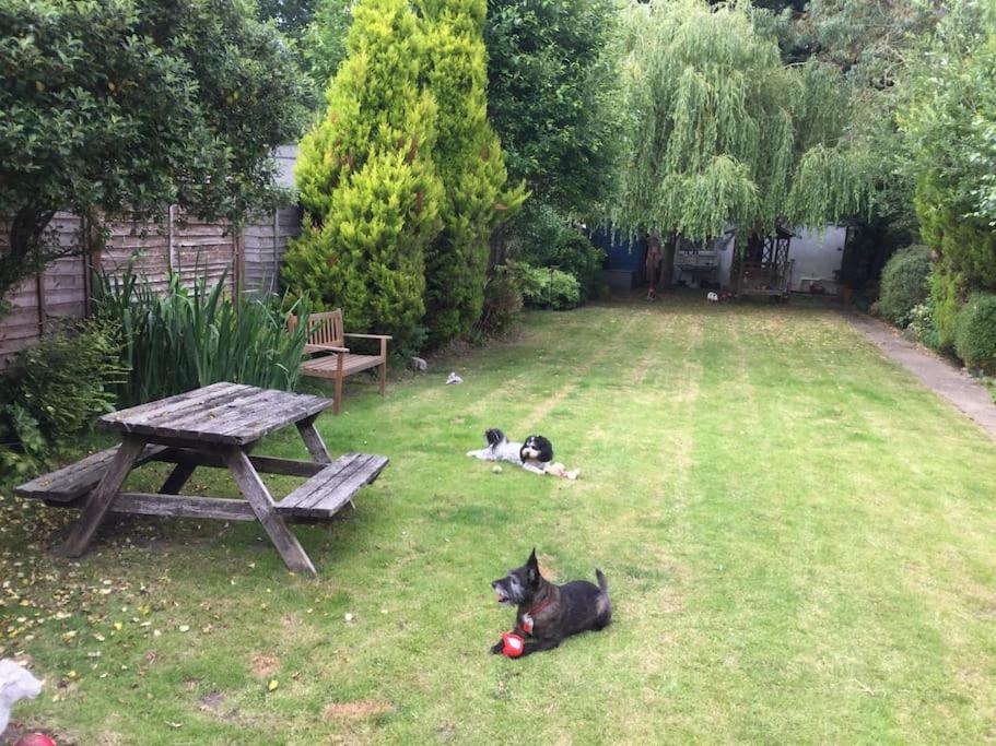 The Studio, Ascot Winkfield 외부 사진
